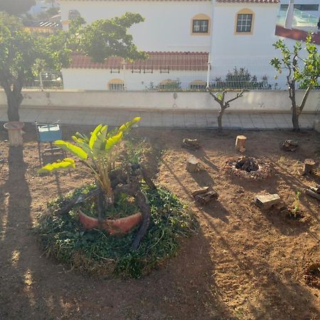Villa Canto Da Sereia 费拉古多 外观 照片